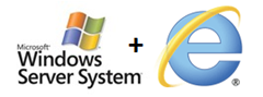 9 reasons to install IE9 on your Servers